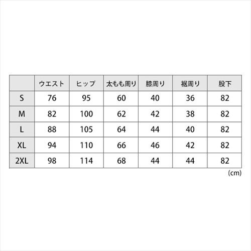 DEGNER（デグナー） DP-27V カップ付き デニムパンツ ヒートガード