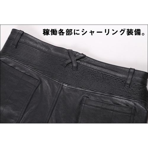 DEGNER（デグナー） DP-28 メンズ カップ付 レザーパンツ ブラック