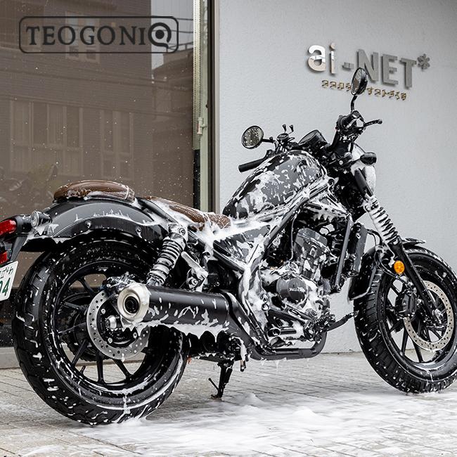 ウインターセール 送料無料 TEOGONIA/テオゴニア 中性 カーシャンプー 泡 超泡シャンプー ホピトス-ディオ 81107 炭配合 ノーコンパウンド クリーミー 500倍濃縮 | TEOGONIA | 13