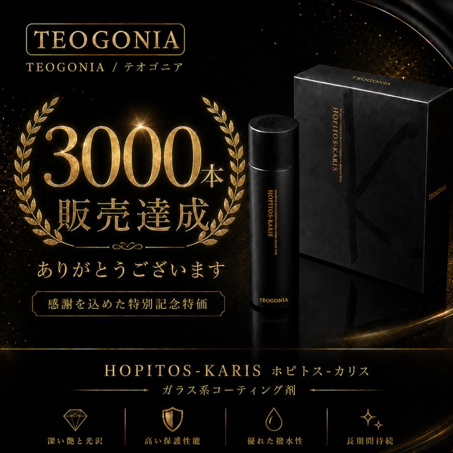 TEOGONIA（テオゴニア） 数量限定特価 日本製 ガラスコーティング