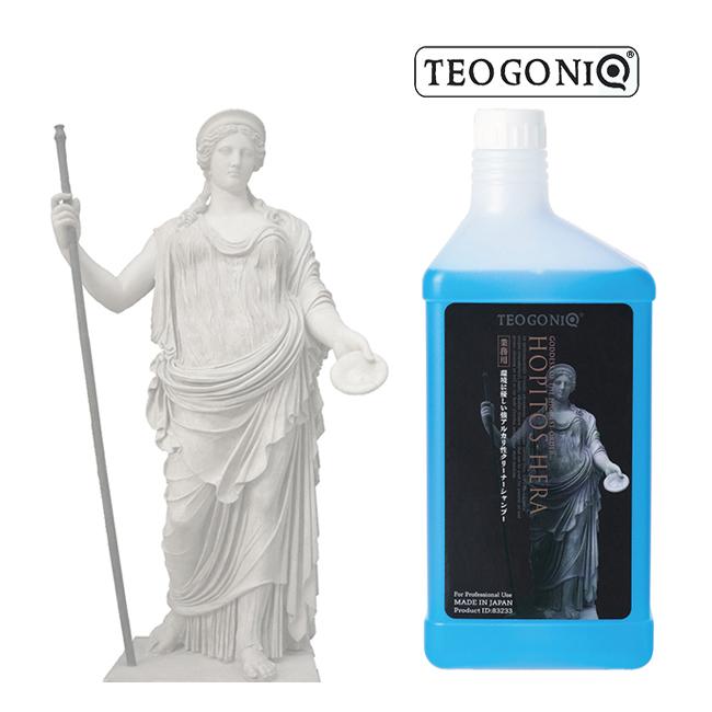 つき 業務用 強力 プロ用 カーシャンプー TEOGONIA/テオゴニア HOPITOS-HERA