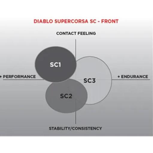 PIRELLI ピレリ DIABLO SUPERCORSA V4 ディアブロ スーパー PIRELLI ピレリ DIABLO SUPERCORSA V4 ディアブロ スーパー