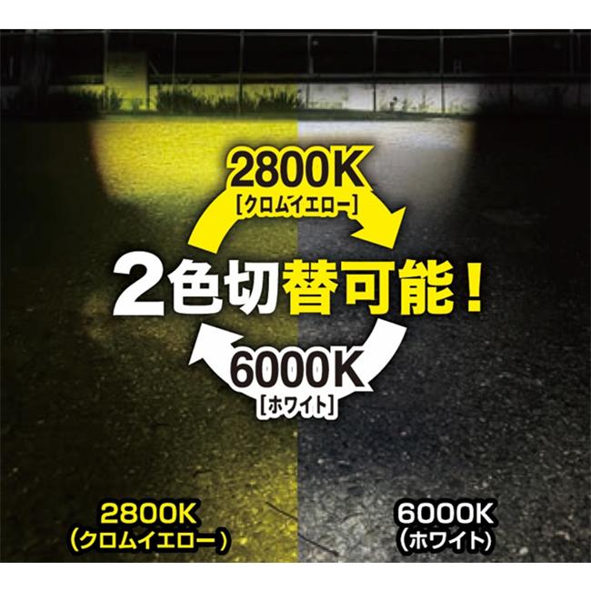 SPHERE/スフィアライト バイク用フォグランプユニットデュアル 6000K/2800K SLBKFG-02 バイク用フォグランプユニット ホワイト 耐振20G バイクパーツ 電装系の画像