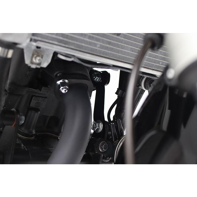 送料無料 ACTIVE(アクティブ) CB250R 18-22 パフォーマンスダンパー(R