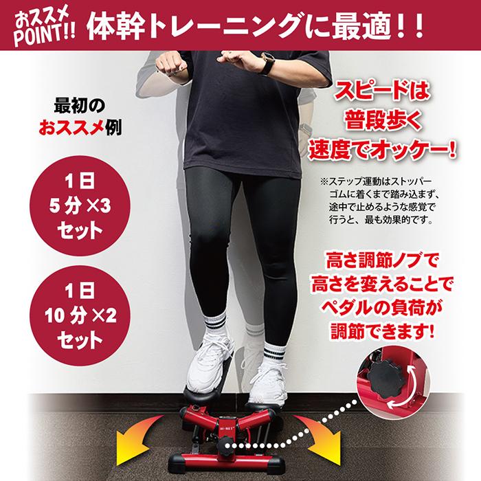 数量限定特価 送料無料 ステッパー ツイストステッパー ストレート