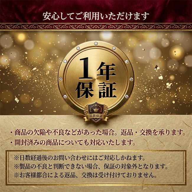 ランキング入賞 送料無料 ステッパー ツイストステッパー ストレート