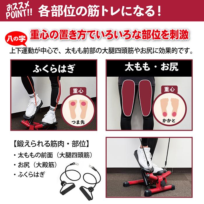 ランキング入賞 送料無料 ステッパー ツイストステッパー ストレート