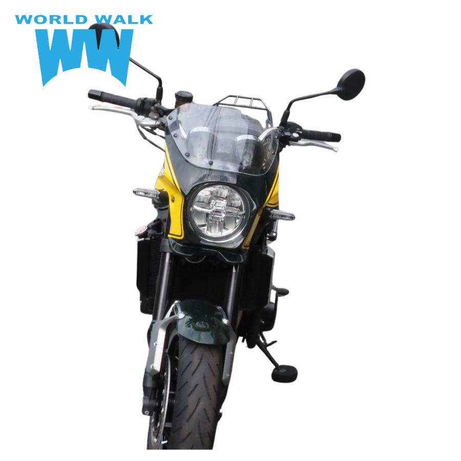 ワールドウォーク（WORLD WARK） WW Z900RS用 2色ビキニカウル