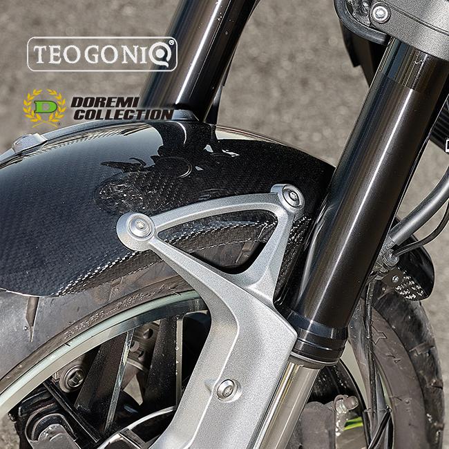 在庫有 送料無料 ドレミコレクションxテオゴニア Front Fender