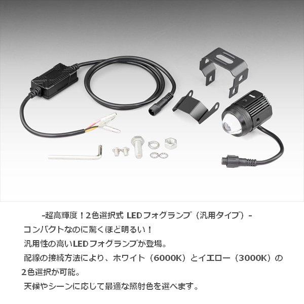 KIJIMA（キジマ） フォグランプM1 15W YL/WH:3/6000K IP68 1コ 205