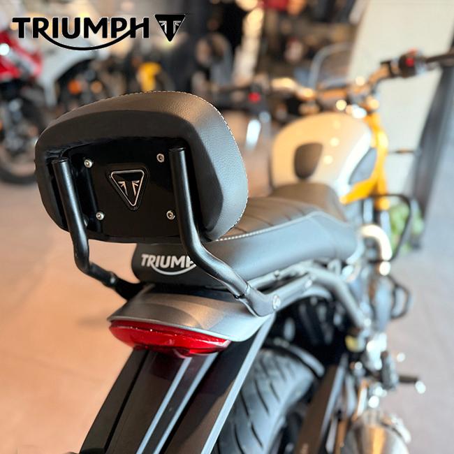 S JWHSMV　For スクランブラー400X　後部座席背もたれ支持保護パッド TRIUMPH（トライアンフ） スピード400 スクランブラー400 バックレスト