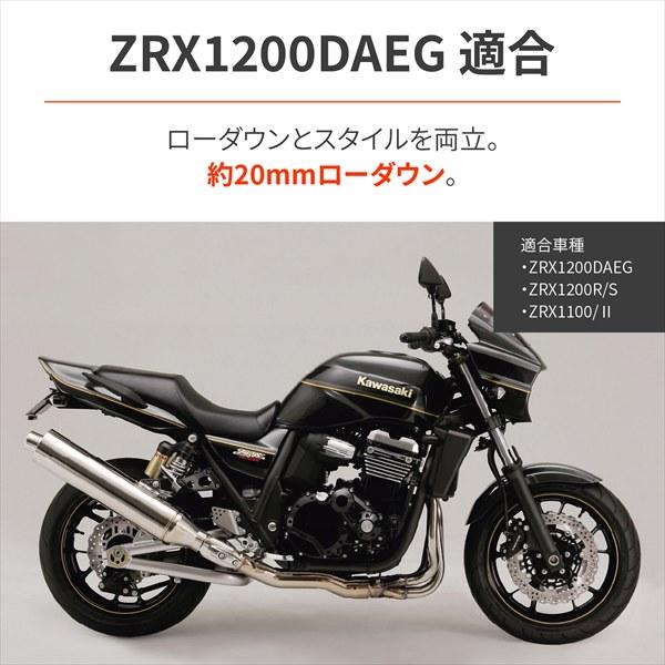 DAYTONA（デイトナ） 送料無料 Daytona ZRX1200R/S(01-08)等 デイトナ