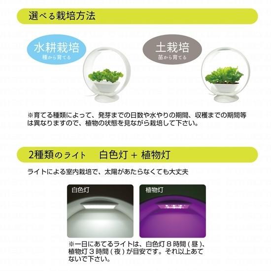 超特価激安 人工栽培ライト 室内栽培セット 安心の新鮮野菜をご家庭で 日光がなくてもグングン成長 調光可能な2種ライト 家庭菜園 栽培ライト Hikarifarm 1r1060 掘り出し市場 通販 Yahoo ショッピング 在庫一掃 Puddlesandsun Co Uk