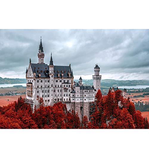 無料長期保証 限定価格adult Wooden Puzzle Beautiful View Of Swan Castle World Famous City Scenery 500 1000 1500 00 3000 4000 5000 6000 Pie 最高の Www Sei Ba Gov Br