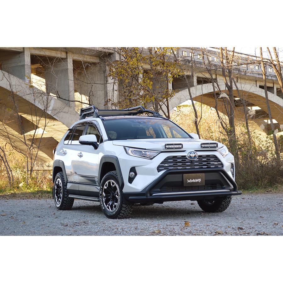 アヴァンツァーレ RAV4 MXAA54 AXAH54 2WAY LEDライティングキット