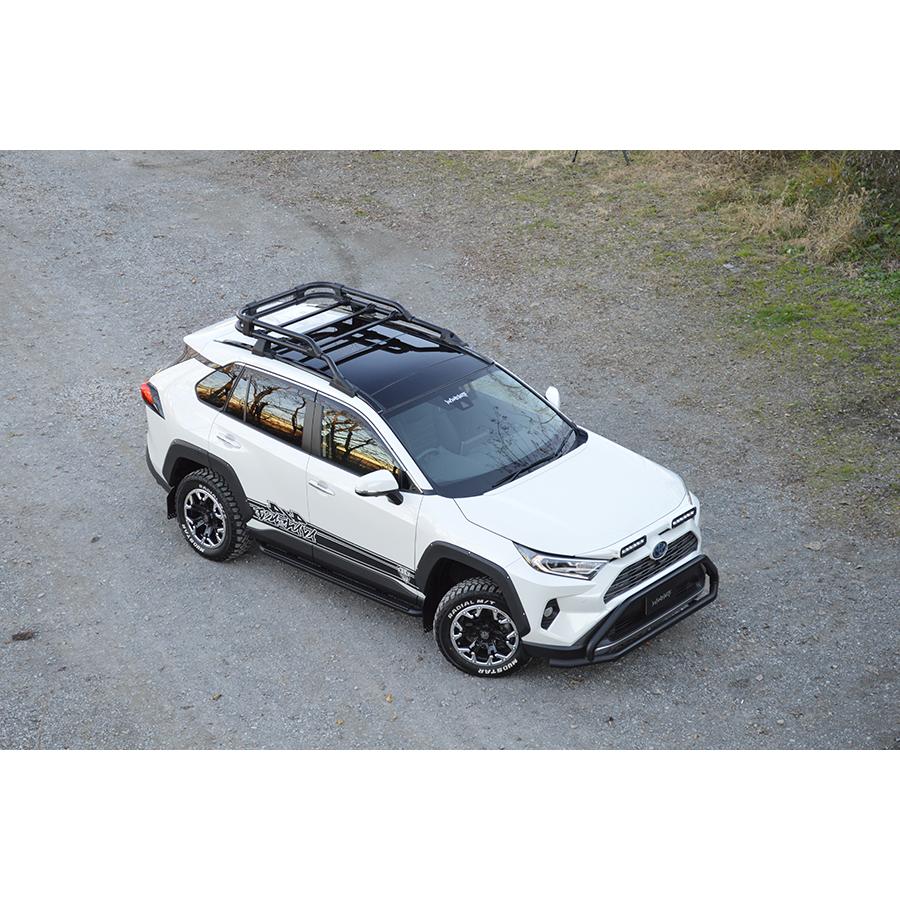 アヴァンツァーレ RAV4 MXAA54 AXAH54 オーバーフェンダーKIT 未塗装