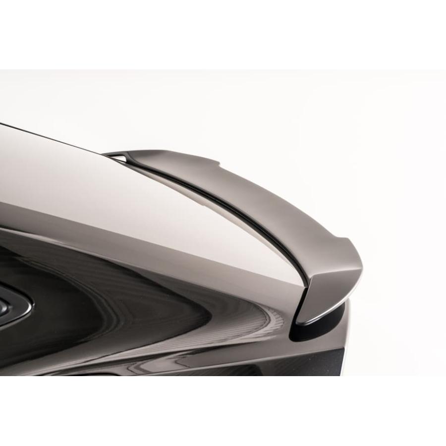 専用です！ 303779.jpg