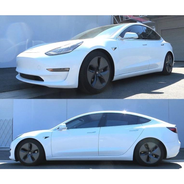 RSR Model3 モデル3 ダウンサス スプリング 1台分 TL001TD RS-R 