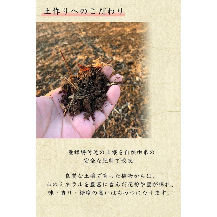 HONEY.K 京都産 百花はちみつ 京百花 250g 純粋はちみつ 国産 非加熱 雑誌「CLasism」に掲載 京都産 無添加 百花蜜｜horidashishop｜06