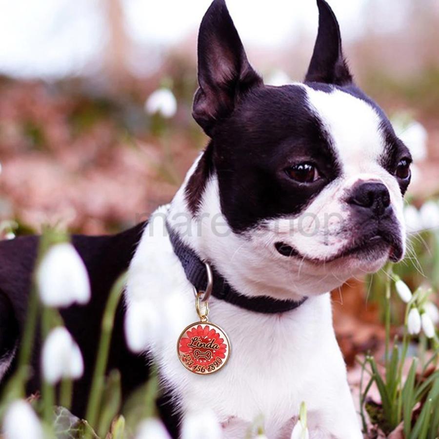 熱い販売 首輪 ハーネス リード 今お使いの首輪やハーネスに取付け出来る迷子札 犬 猫 ペット 迷子札 名札 Idタグ 犬 猫 ペット 首輪 犬用迷子札 名前入れ 名入れ ネーム入り ネームタグ キーホルダー 花 押花 かわいい おしゃれ オーダーメイド Www Threeriversofs Com