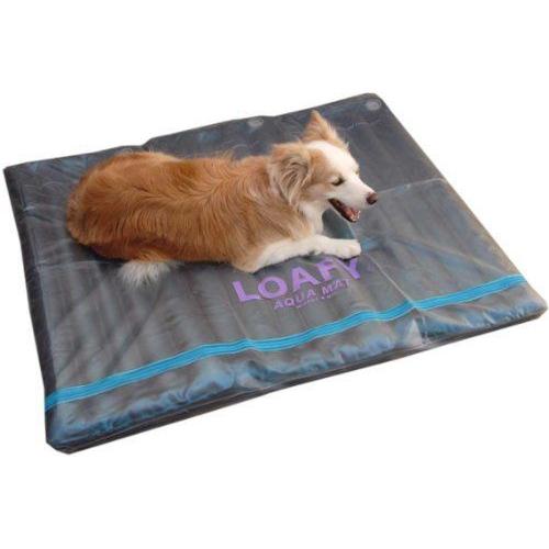 激安 Dogs エコクール ウォーム 床ずれ防止 介護 犬のウォーターベッド ３l ベッド マット カバー Pescaazteca Com