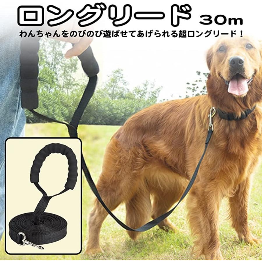 リード 中型犬 大型犬