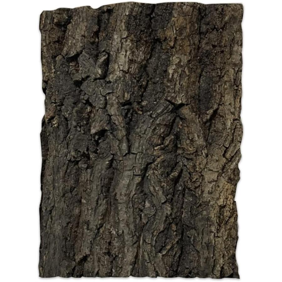 コルク樹皮 着生 エアプランツ チランジア バークチップ 爬虫類 観葉植物 本物 (black,  中サイズ 150x200　１枚)（Yahoo!・スピード発送 ホリック）