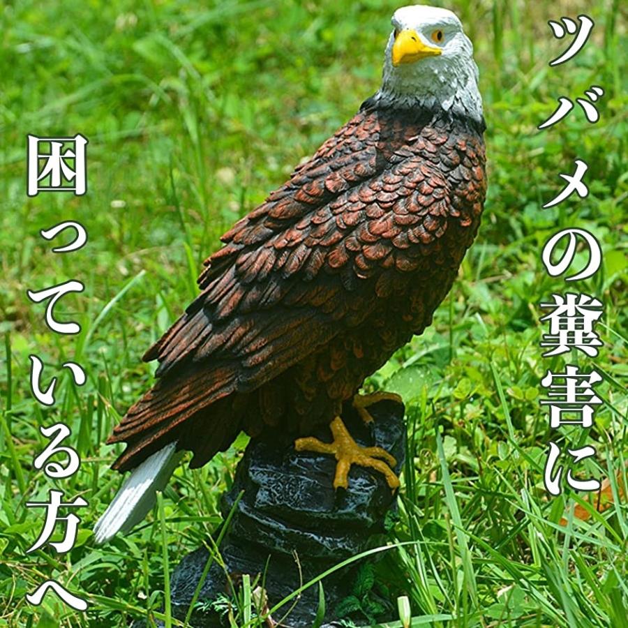 鷹 置物 害鳥 対策 鳥よけ 害獣対策 カラス 鳩 撃退 飾り 鷲 オブジェ ミドル スピード発送 ホリック 通販 Paypayモール