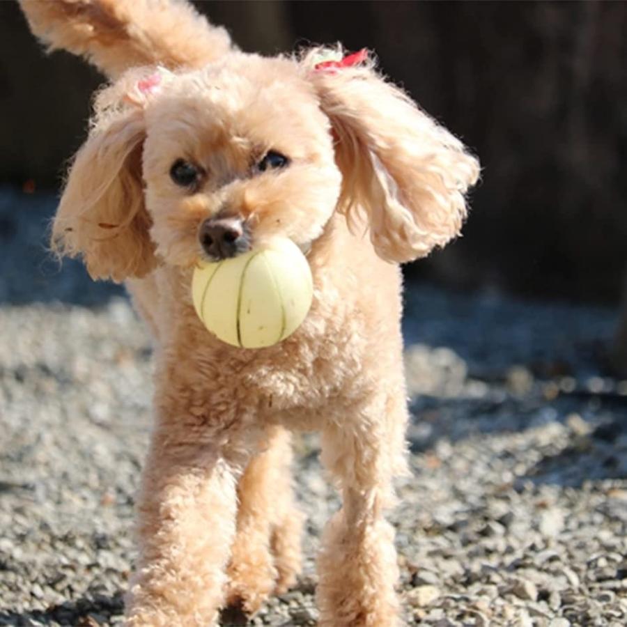 犬 おもちゃ 噛む 小型犬 音が鳴る ゴム ボール ペット用 安全 Pu素材 4個セット 6cm ホリック Paypayモール店 通販 Paypayモール