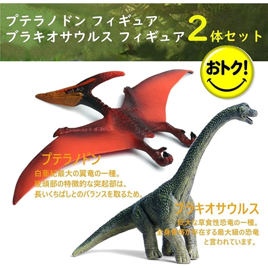 きょうりゅう おもちゃ 恐竜 フィギュア 誕生日プレゼント プテラノドン ブラキオサウルス6歳 2b43ci40rl スピード発送 ホリック 通販 Yahoo ショッピング