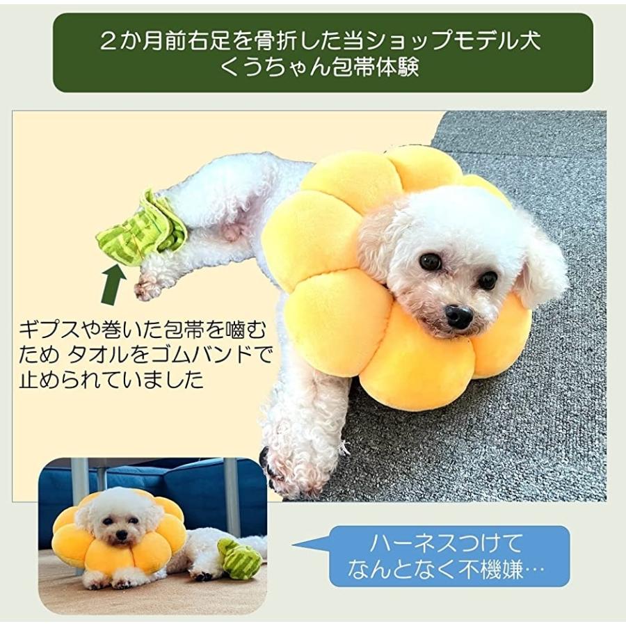 ペット用 くっつく包帯 犬 猫 バンテージ 多機能 怪我 傷舐め防止 保護 自着性伸縮包帯 ６個セット ５cmx4 5m オレンジ 2b43n9s0i4 スピード発送 ホリック 通販 Yahoo ショッピング