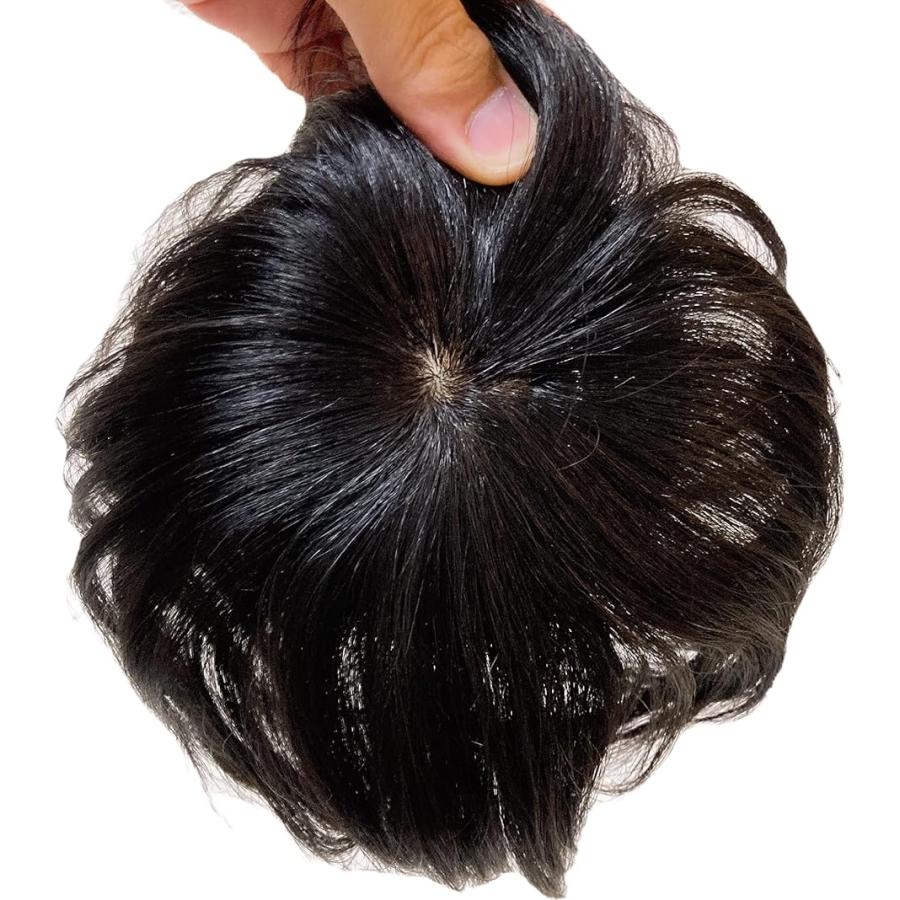 かつら 男性 女性 カツラ 部分ウィッグ ウイッグ つむじにヘアプラス ナチュラルブラック ワイド Free スピード発送 ホリック 通販 Paypayモール