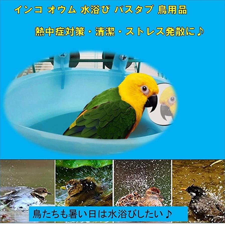 835円 お気に入りの 小鳥用 水浴び 鳥用シャワー 水浴びケース 鳥浴び容器 自動 835円 お気に入りの 小鳥用 水浴び 鳥用シャワー 水浴びケース 鳥浴び容器 自動