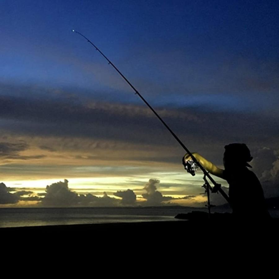 最大61 Offクーポン 標識灯 電池式 単色発光 集魚灯 Led ライト 防水 水中灯 釣り用 イカ釣 ホワイト 21cmx5 8cm 4個セット Discoversvg Com