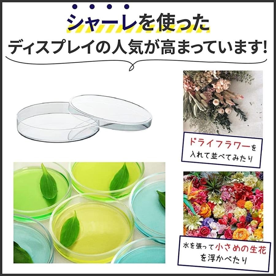 海外並行輸入正規品 シャーレ プラスチック 蓋付き 使い捨て ペトリ皿 容器 実験 クリア 個セット 35mm Dprd Jatimprov Go Id