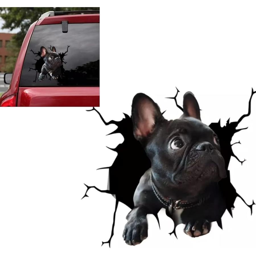 カーステッカー 車 トラック 犬 おもしろ 面白い 動物 ペット F スピード発送 ホリック Paypayモール店 通販 Paypayモール