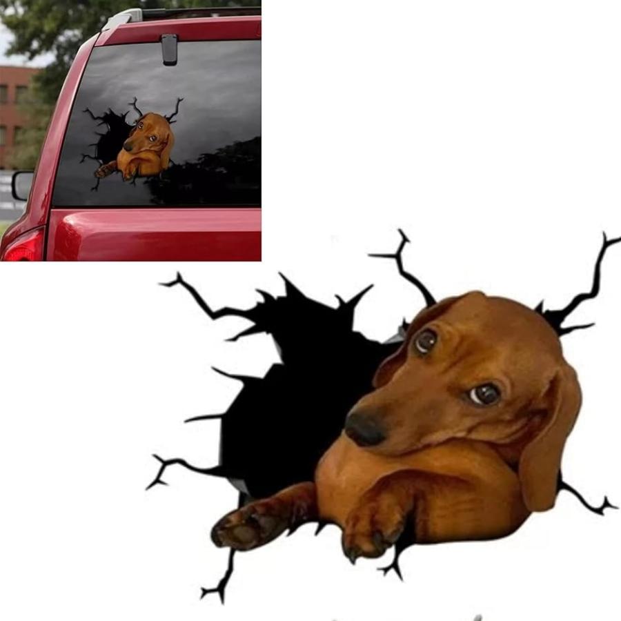 カーステッカー 車 トラック 犬 おもしろ 面白い 動物 ペット 1 ダックス スピード発送 ホリック Paypayモール店 通販 Paypayモール