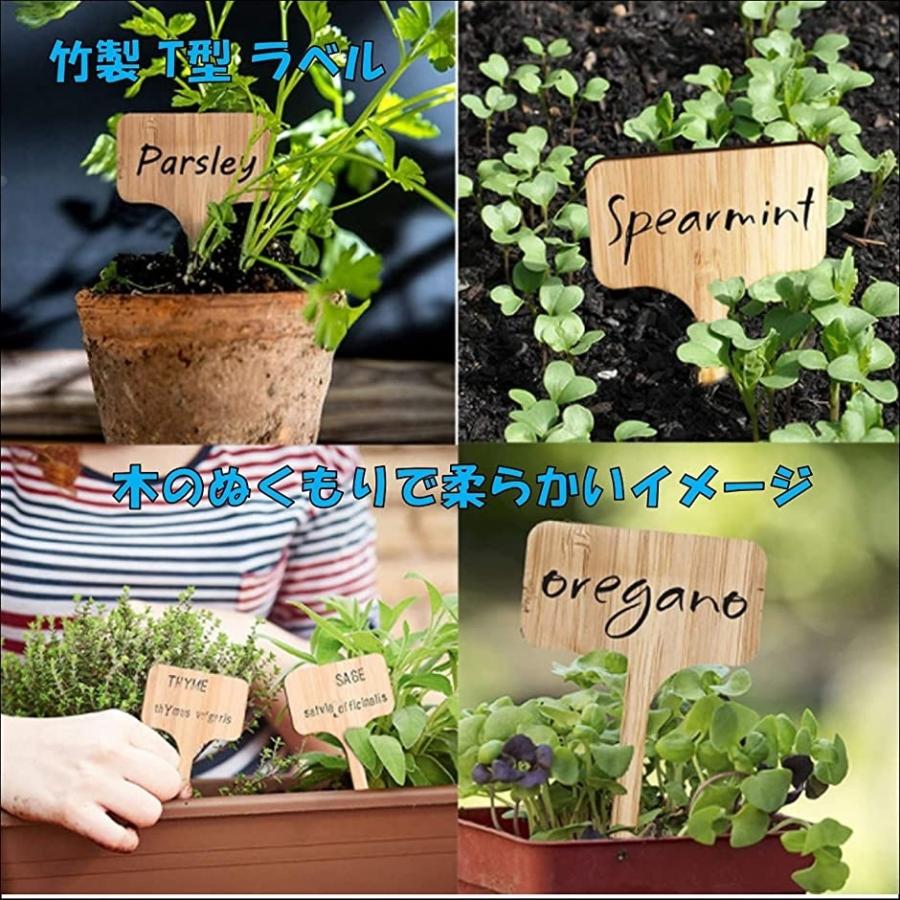木製 園芸用 ラベル 50枚入 01 ｔ型 01 ｔ型 2b4ift961n スピード発送 ホリック 通販 個ガーデニング植物苗床ラベル 木製植物ラベル黒板植物看板 Ciudaddelmaizslp Gob Mx