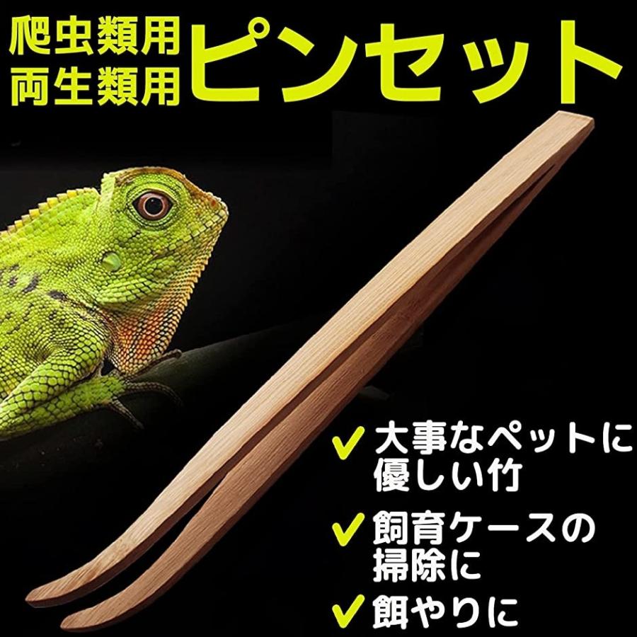 爬虫類用 ピンセット 餌やり トカゲ カエル 飼育 掃除 竹製 ペット 両生類 16 5cm 3個セット スピード発送 ホリック Paypayモール店 通販 Paypayモール