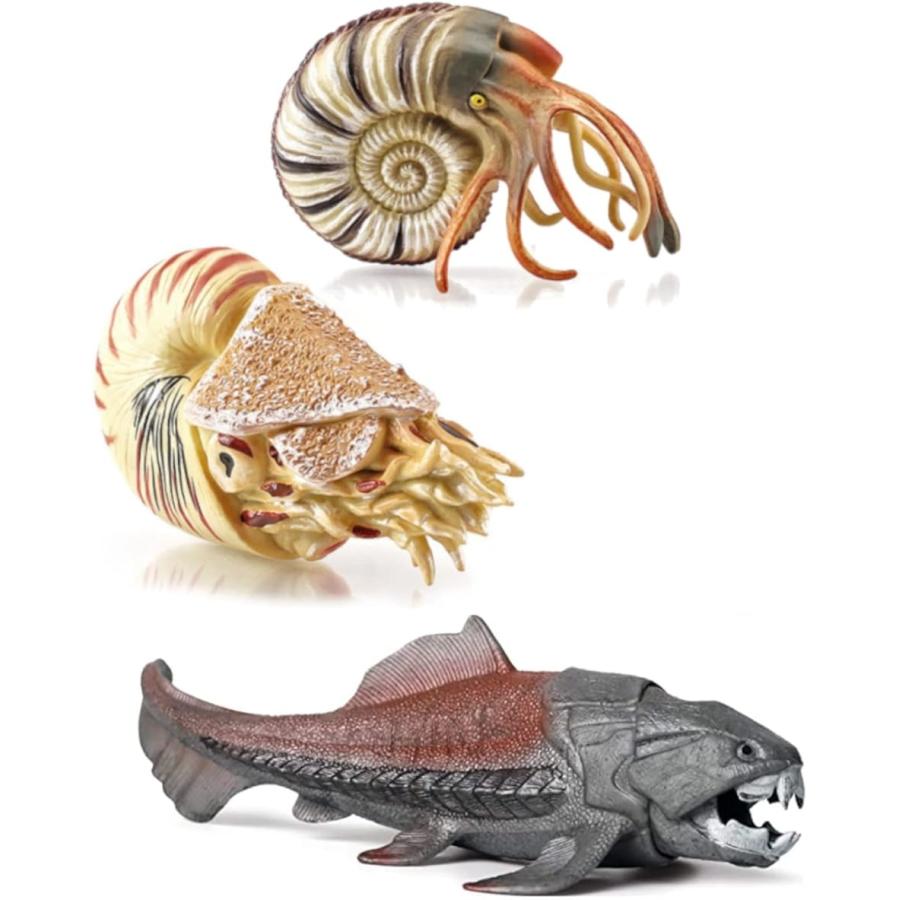 オウムガイ フィギュア アンモナイト 貝殻 おもちゃ 6 オウムガイ アンモナイト ダンクルオステウス 2b4nwv9xvl スピード発送 ホリック 通販 Yahoo ショッピング