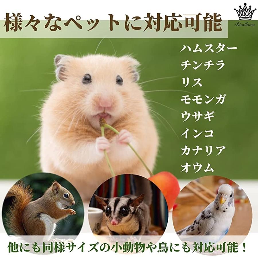 ハムスター 木製 踏み台 ステージ ステップ ペット用品 アクセサリー シマリス モモンガ チンチラ セット 7点セット 2b4o0h8i6w スピード発送 ホリック 通販 Yahoo ショッピング