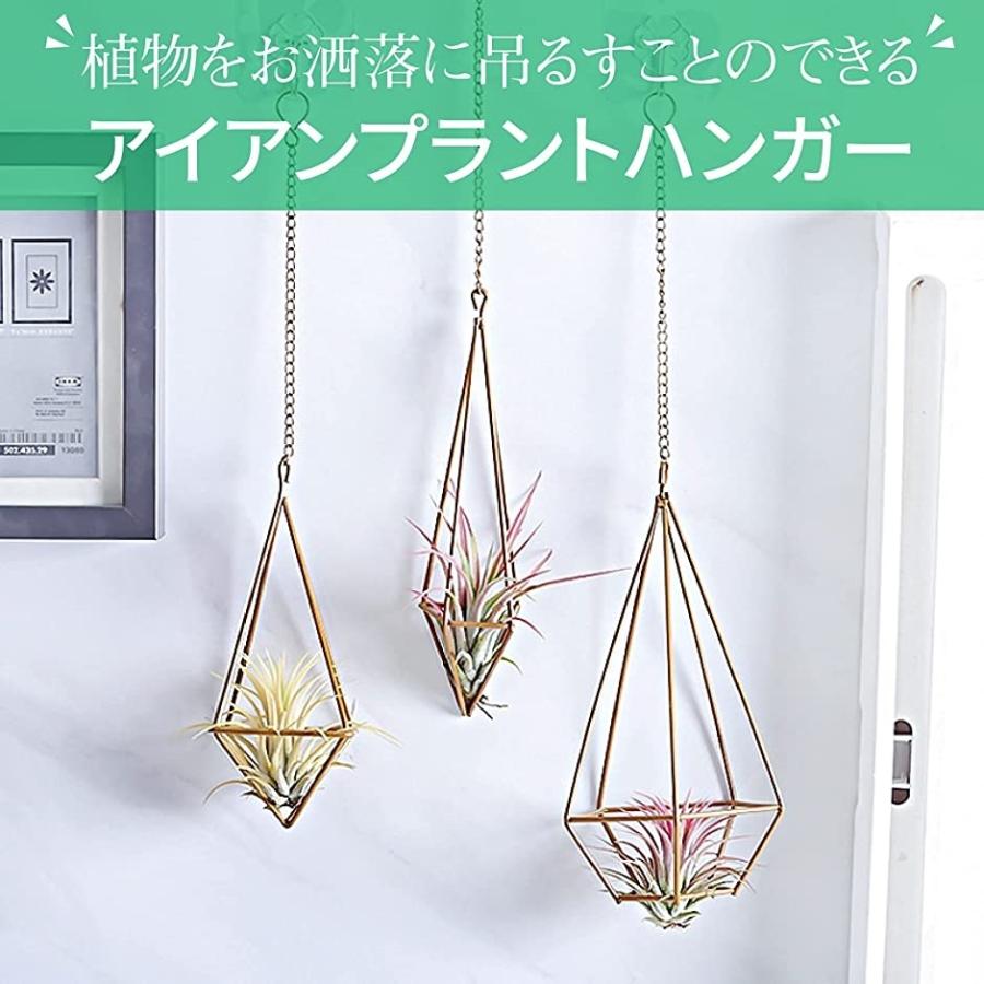アイアン プラントハンガー チェーン付き エアプランツ 吊るす 植物ホルダー ダイヤ ひし形 三角形 2b4rrtwfdo スピード発送 ホリック 通販 Yahoo ショッピング