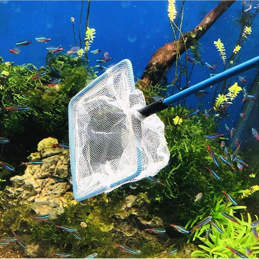 観賞用ネット 観賞魚用ネット メダカ 水槽 金魚 金魚すくい 網 虫取り網 熱帯魚 ベタ めだか ミジンコ 掃除 5号 Free 2b4u4dknoy スピード発送 ホリック 通販 Yahoo ショッピング