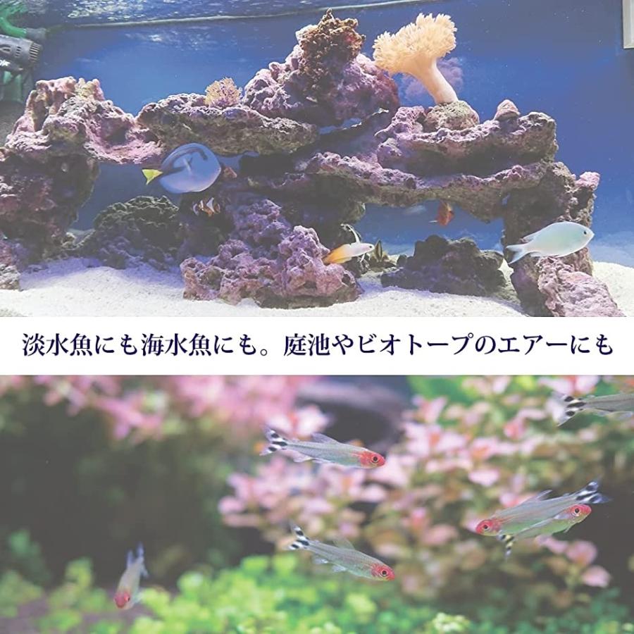 超人気 専門店 エアストーン エアーストーン エアポンプ 用 アクアリウム 空気石 熱帯魚 水槽 直径13 2cm Shipsctc Org