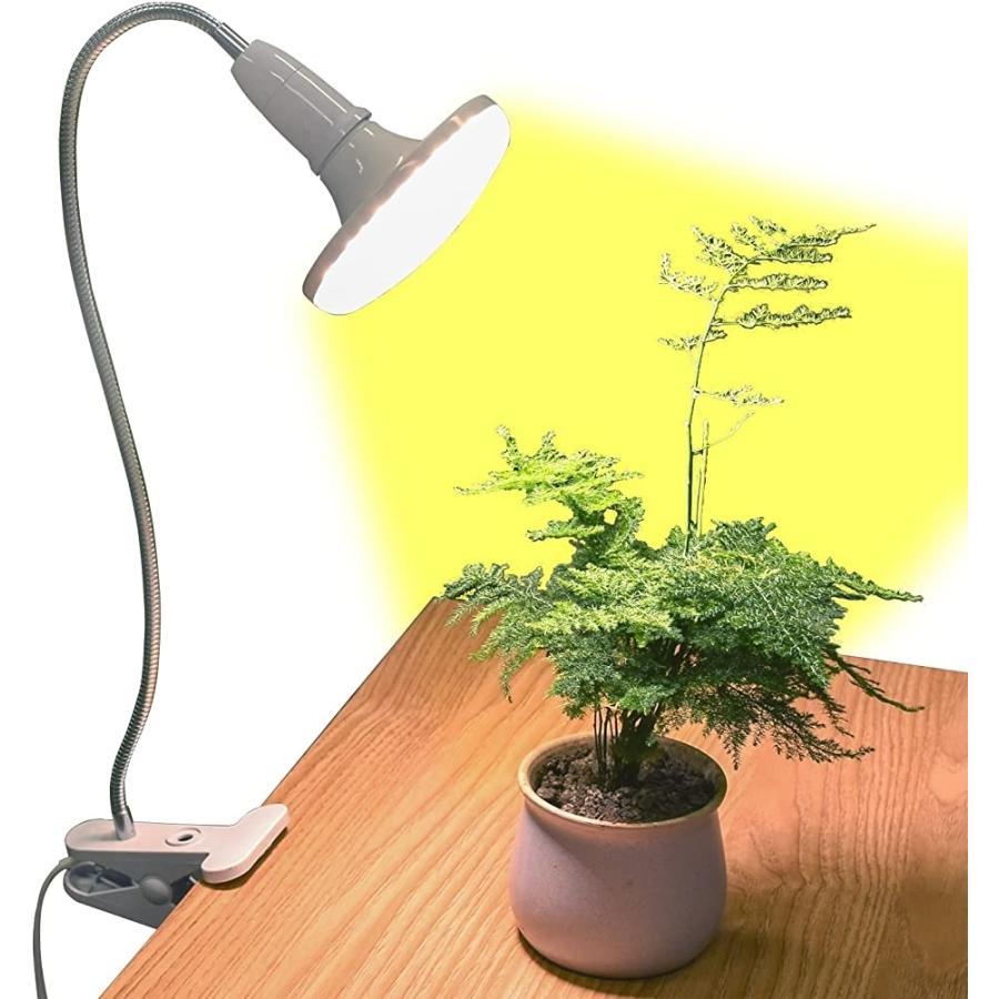 植物育成ライト 植物育成用ledライト 20W E26電球水耕栽培ライトクリップ付き 多肉植物育成(ホワイト)|horikku|02