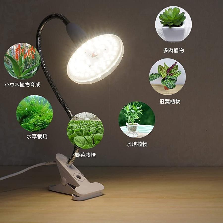 植物育成ライト 植物育成用ledライト 20W E26電球水耕栽培ライトクリップ付き 多肉植物育成(ホワイト)|horikku|06