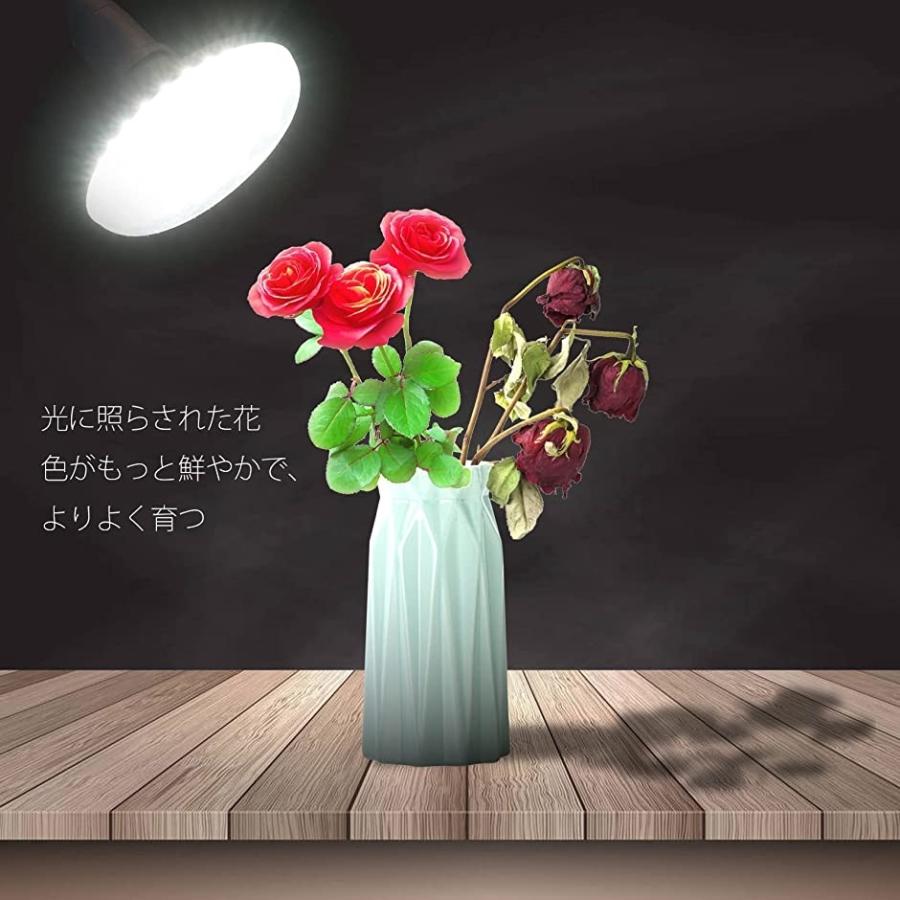 植物育成ライト 植物育成用ledライト 20W E26電球水耕栽培ライトクリップ付き 多肉植物育成(ホワイト)|horikku|07