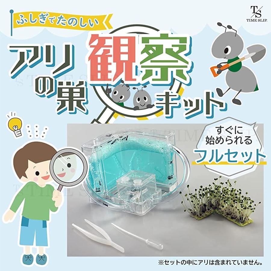 国産 タイムスリップ アリの巣観察キット 蟻 あり 夏休み 自由研究 工作 飼育 子供 学べる 知育 生物 生き物 日本語説明書付 ブルー Aynaelda Com