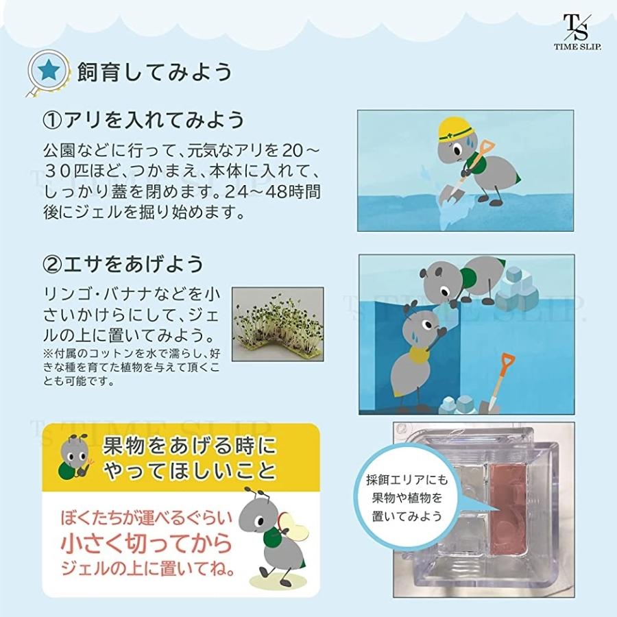 国産 タイムスリップ アリの巣観察キット 蟻 あり 夏休み 自由研究 工作 飼育 子供 学べる 知育 生物 生き物 日本語説明書付 ブルー Aynaelda Com