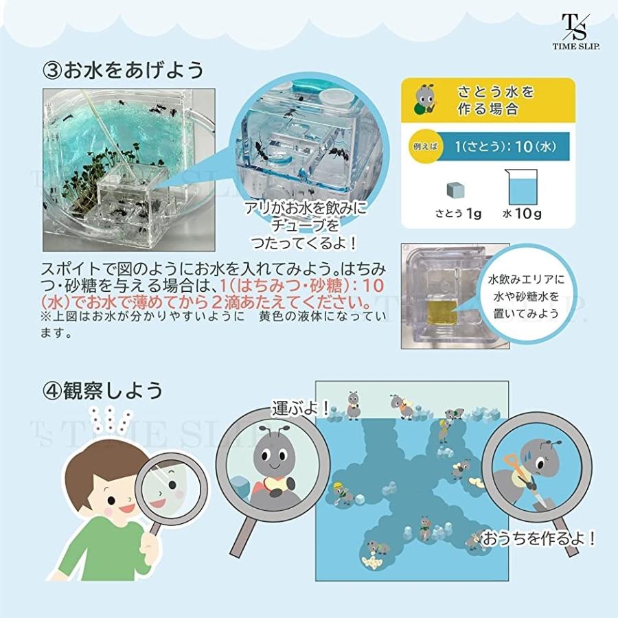 国産 タイムスリップ アリの巣観察キット 蟻 あり 夏休み 自由研究 工作 飼育 子供 学べる 知育 生物 生き物 日本語説明書付 ブルー Aynaelda Com